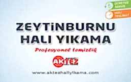 Zeytinburnu Halı Yıkama